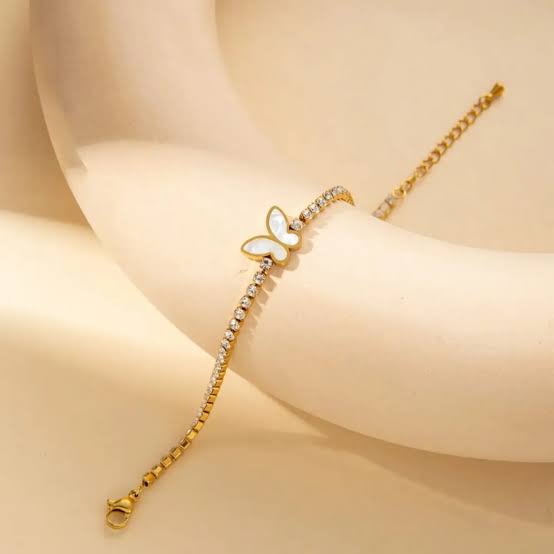 Premium Quality Stainless Steel Luxury Brecelet