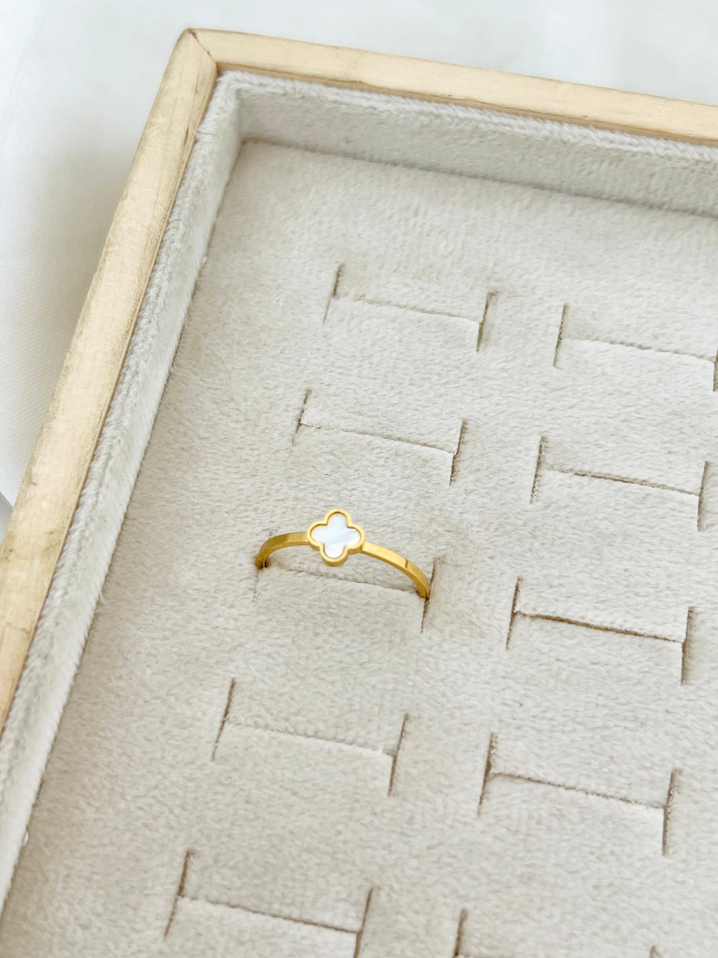 Top Trending Premium Quality Stainless Steel Ring