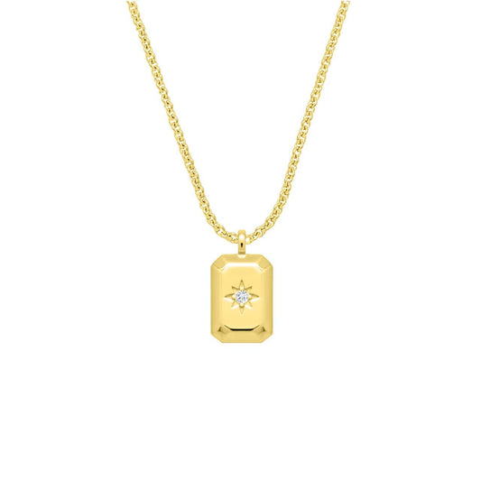 Premium Quality Stainless Steel Pendent/Chain