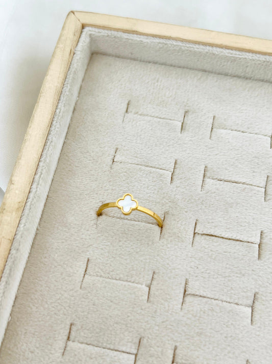 Top Trending Premium Quality Stainless Steel Ring