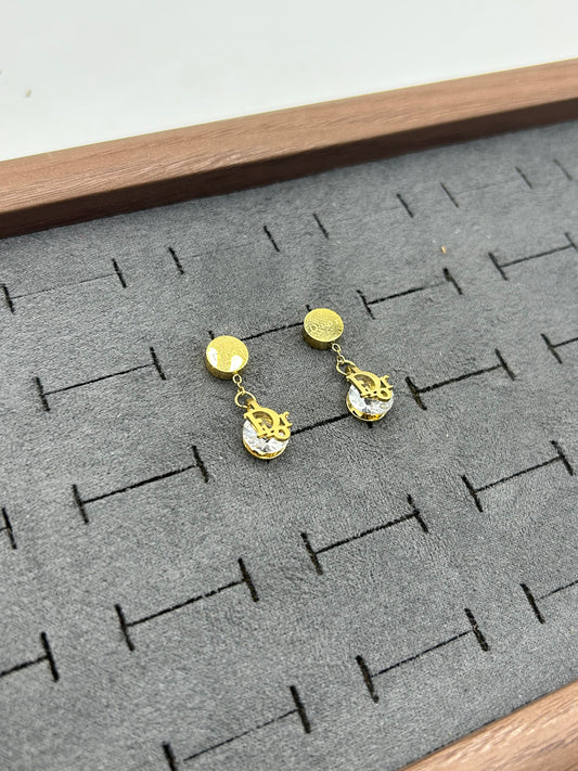 Premium Quality Stainless Steel Earings